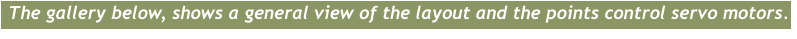The gallery below, shows a general view of the layout and the points control servo motors.