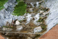 Detail of the river bed.